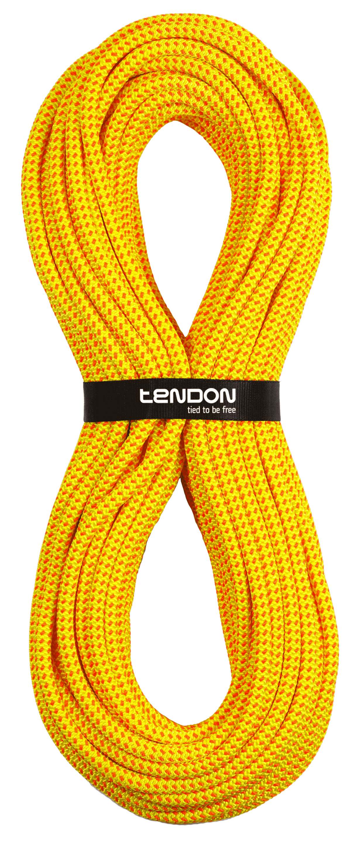 Timber Evo 11.0 Baumpflegeseil