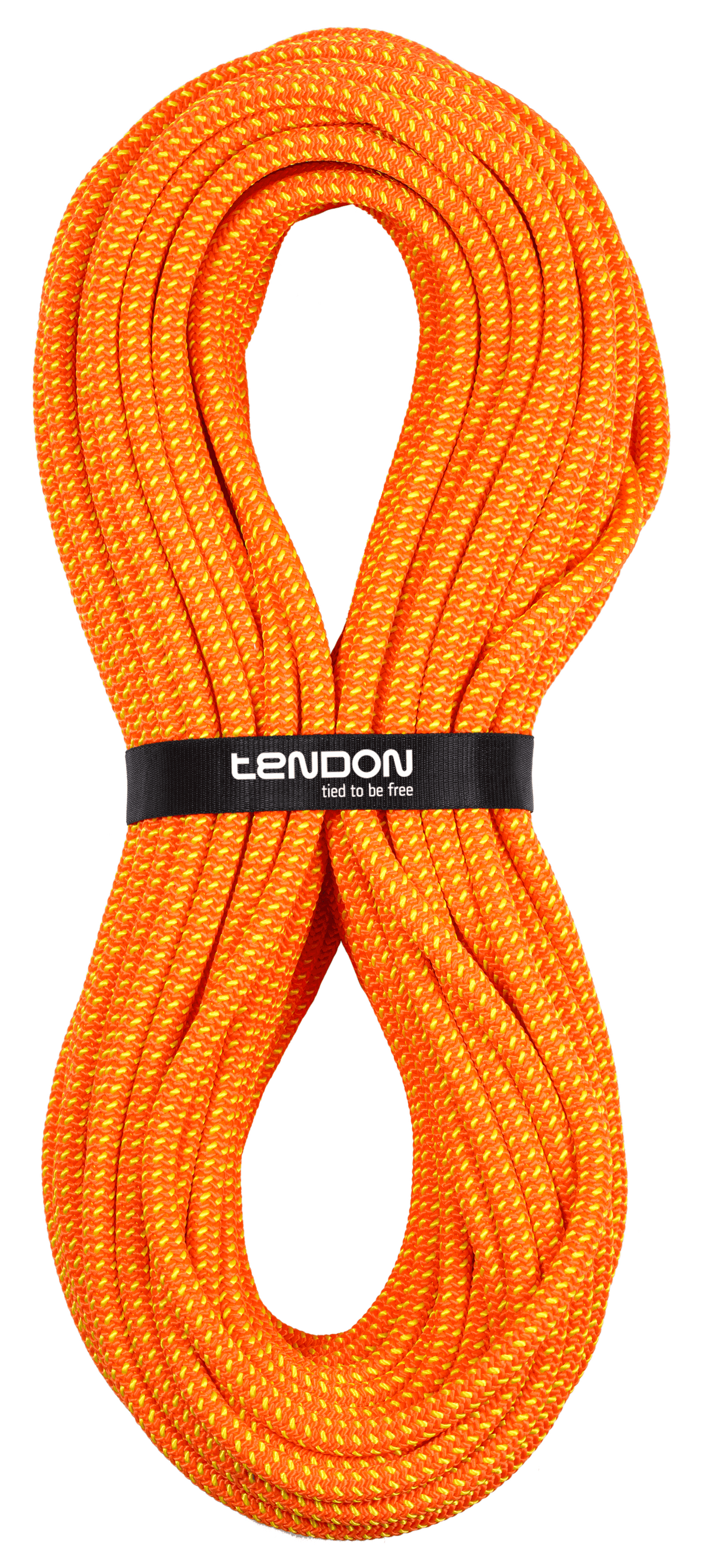 Timber Evo 12.5 Baumpflegeseil