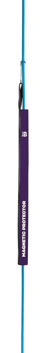 Magnetic Protector II